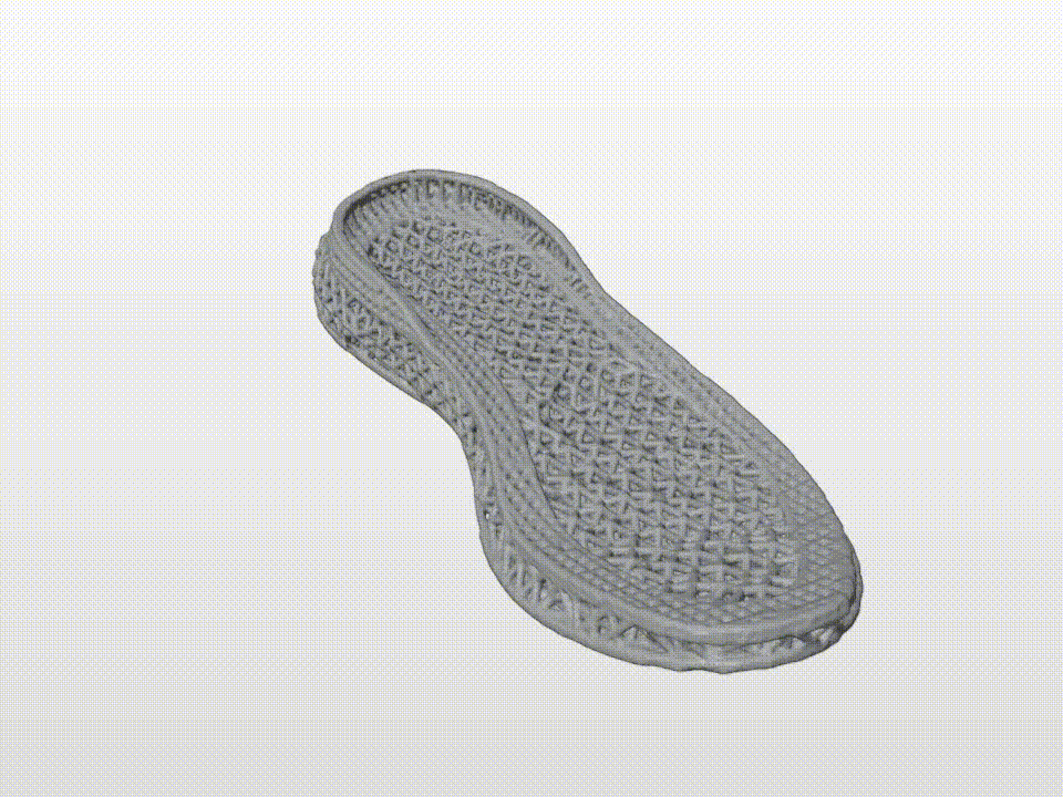 Shoe sole model 