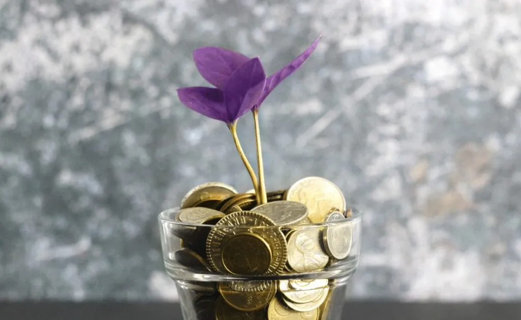 Fintech Companies Outsourcing in Eastern Europe: Success Stories