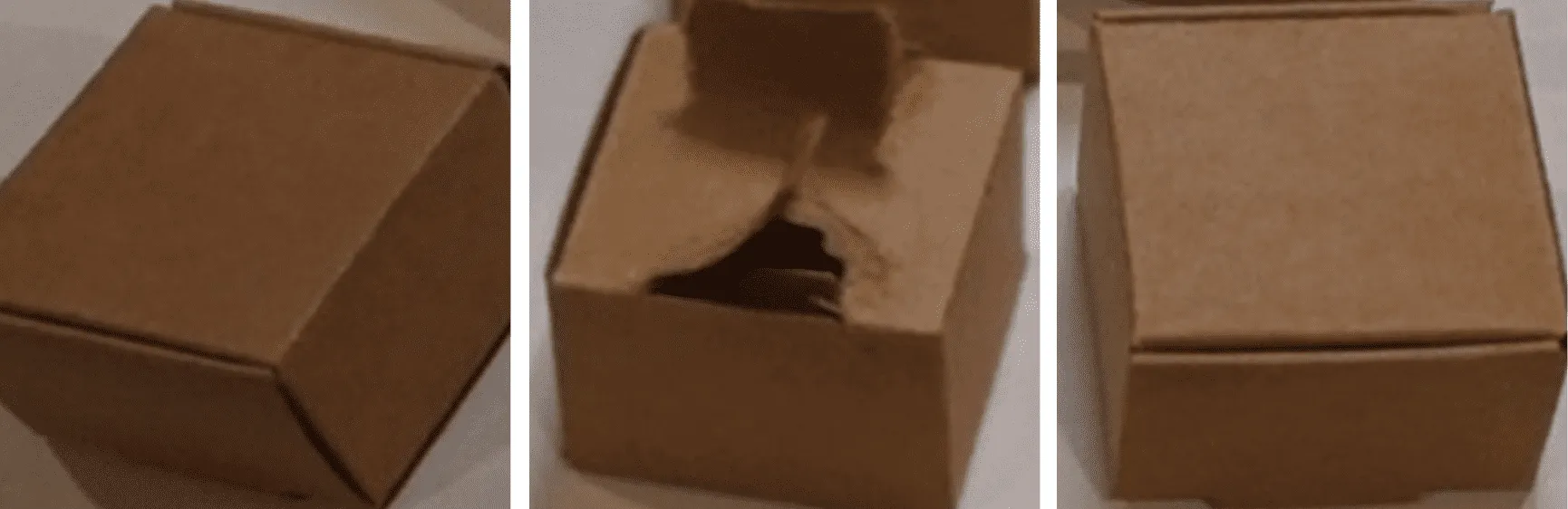 Figure 5. Examples of images produced by the tracking algorithm for the anomaly classification dataset.