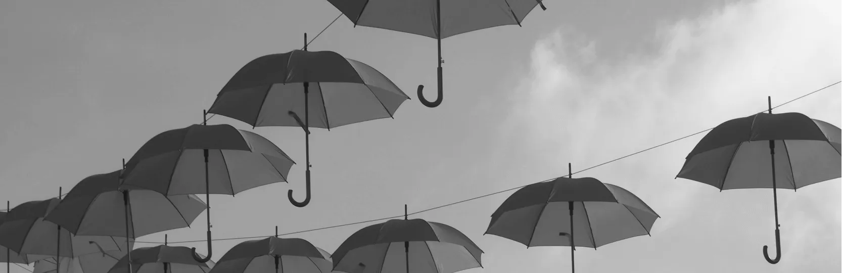 two rows of umbrellas